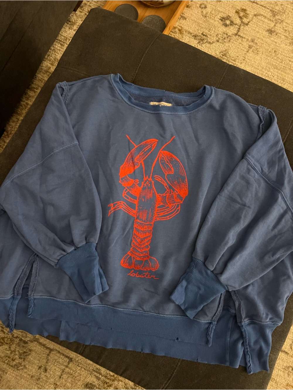 We The Free Lobster Graphic Camden Pullover - Picture 2 of 7